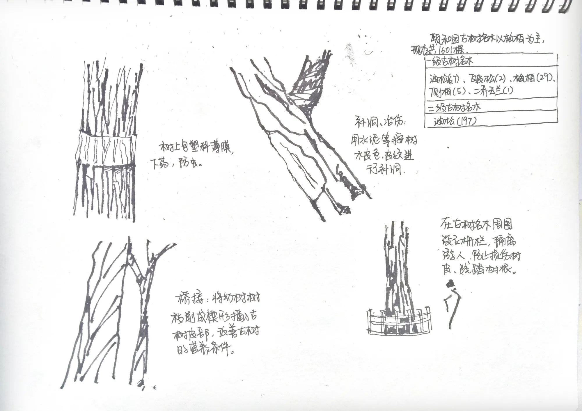 Northern Garden Research and Exploration Results Presentation.