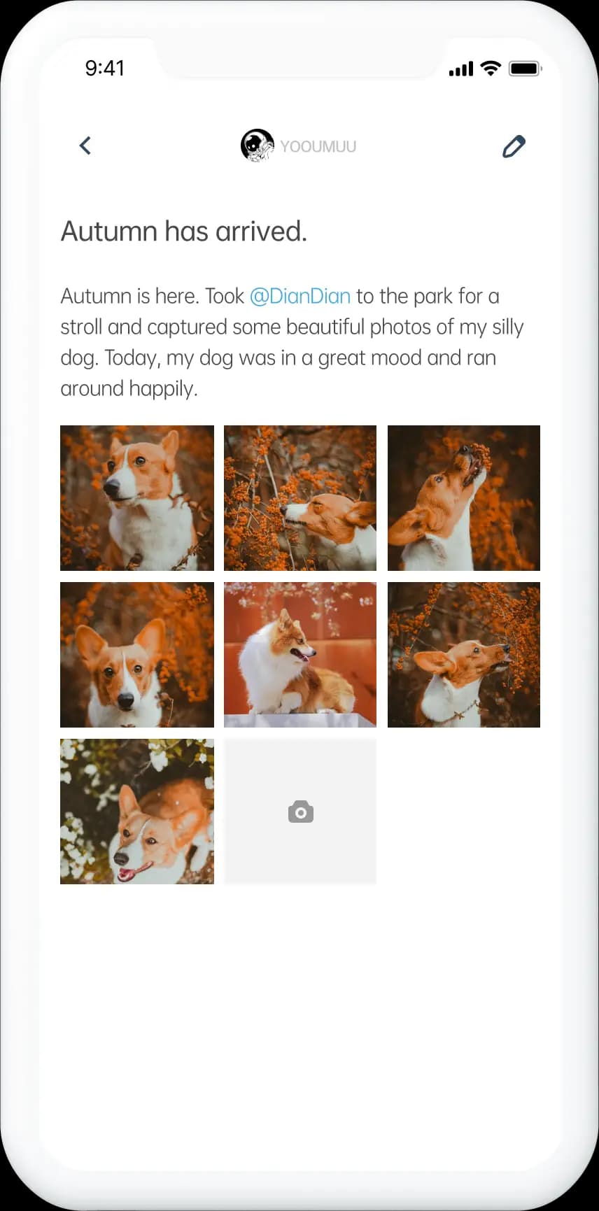 PawsomeCare app prototype.