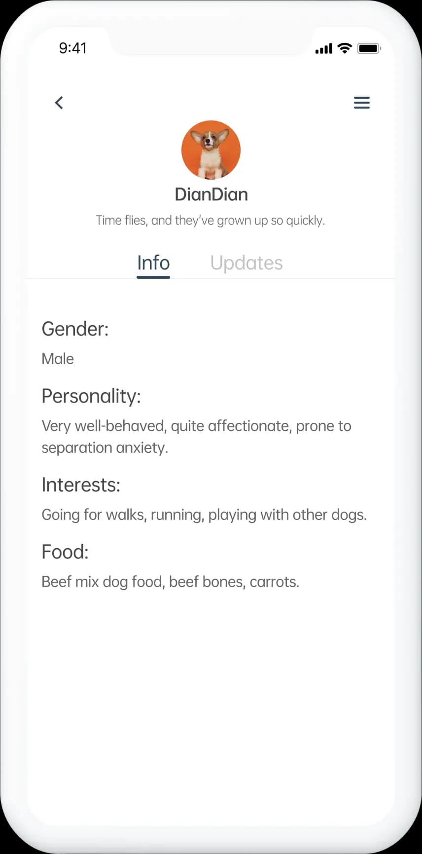 PawsomeCare app prototype.